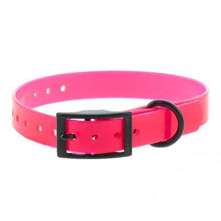 Halsband Met Dubbele Gesp Canihunt