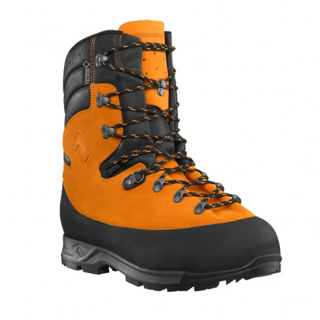 Schoenen Protector Forest 2.1 GTX Haix